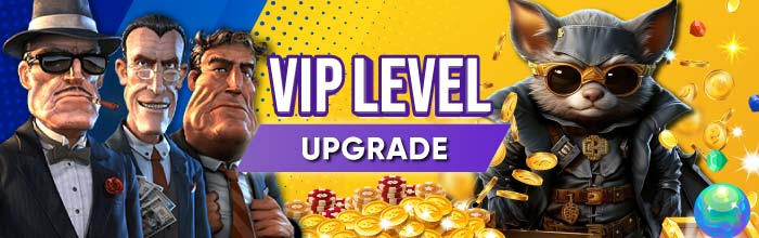 Upgrade VIP level for more benefits.
